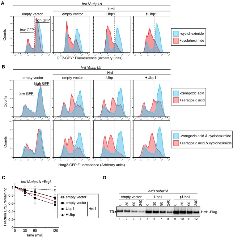 Figure 1—figure supplement 3.