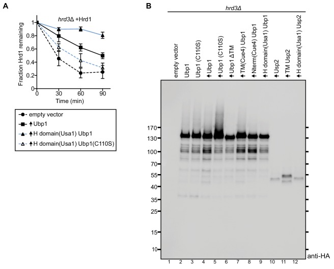 Figure 2—figure supplement 1.