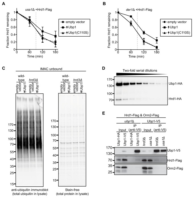 Figure 1—figure supplement 2.