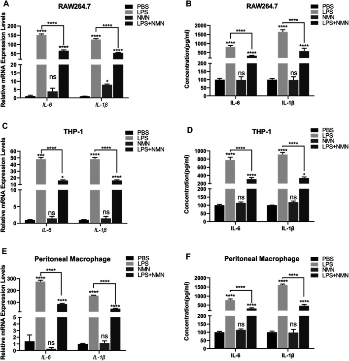 FIGURE 3
