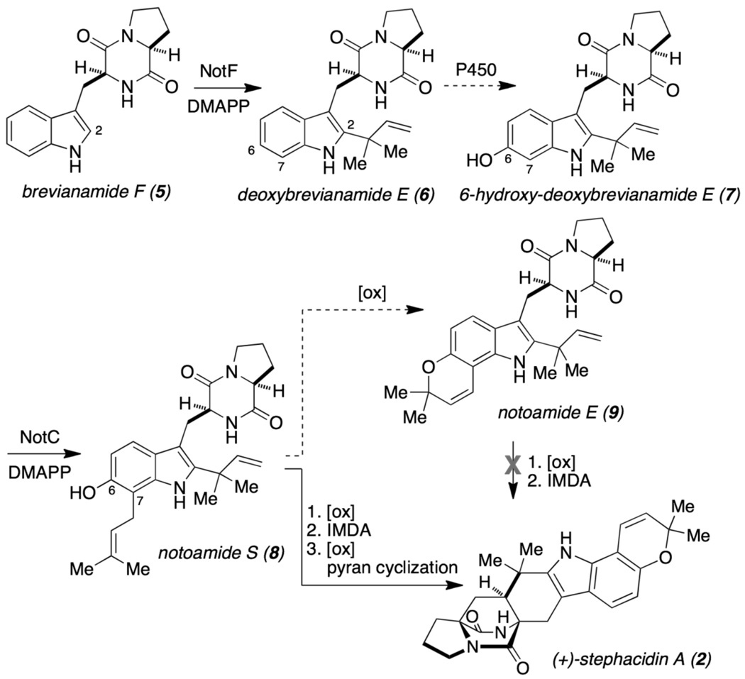 Scheme 1