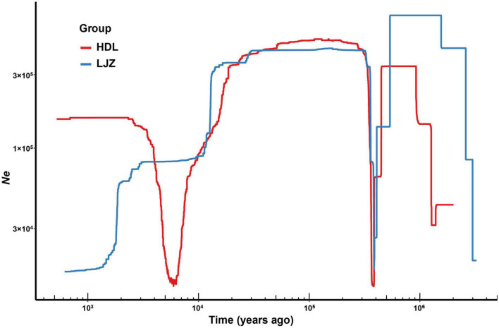 FIGURE 3