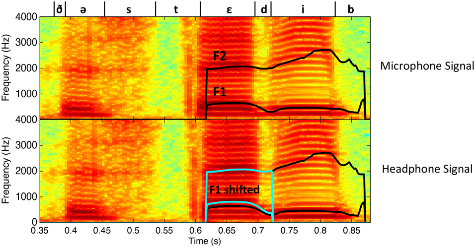 Figure 2: