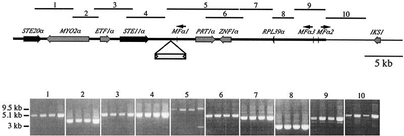 FIG. 7.