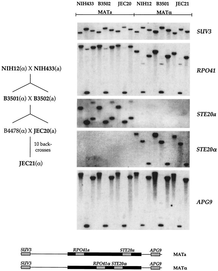 FIG. 4.