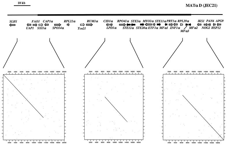 FIG. 3.