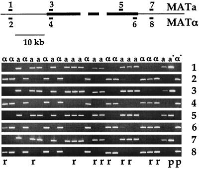 FIG. 6.