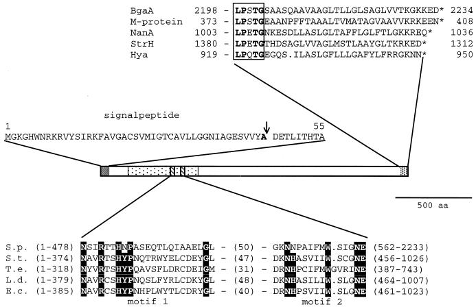 FIG. 1