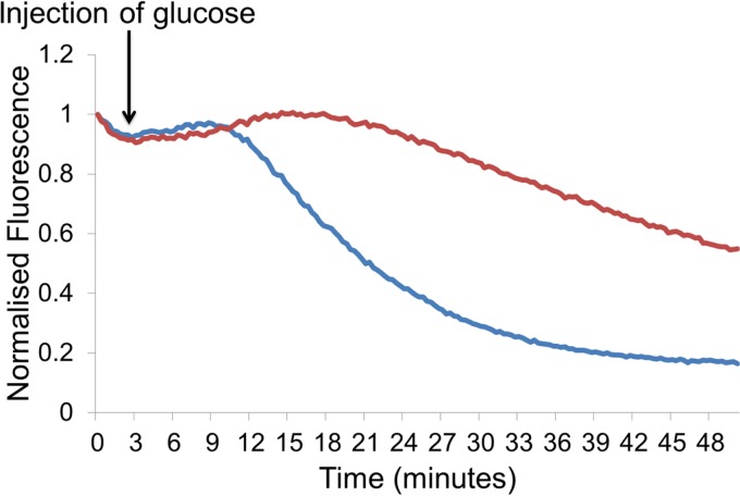 FIG 1 