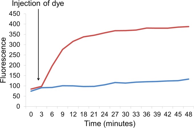 FIG 2 