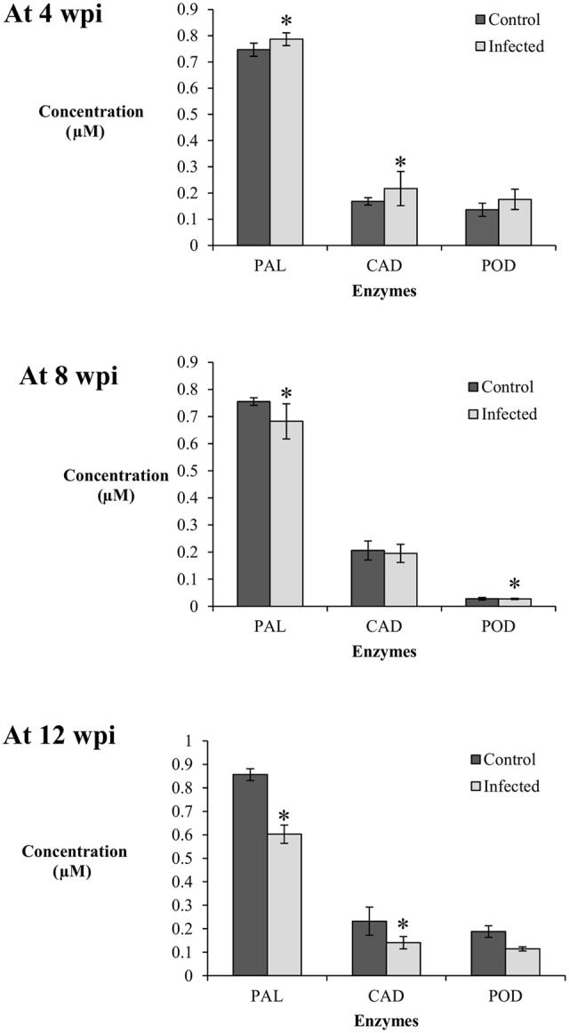 FIGURE 4