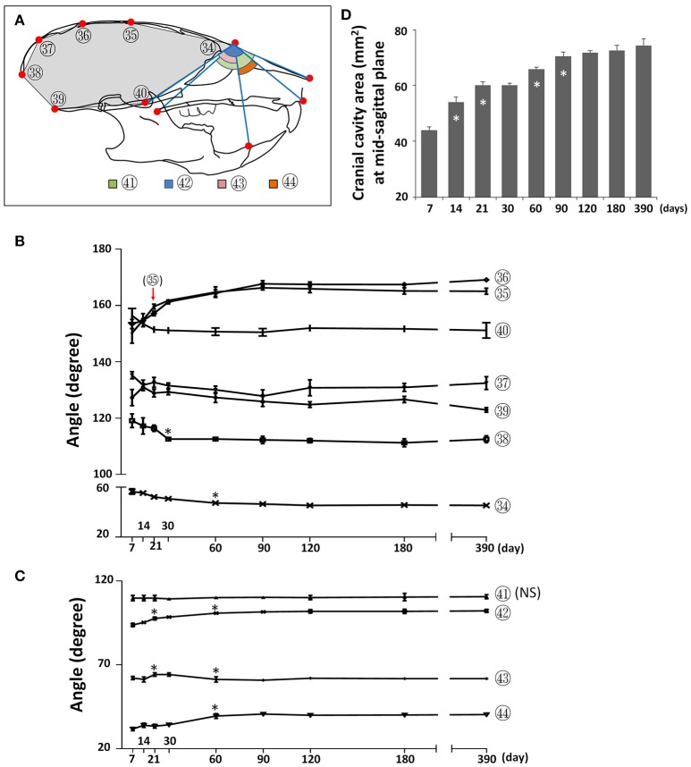 Figure 9