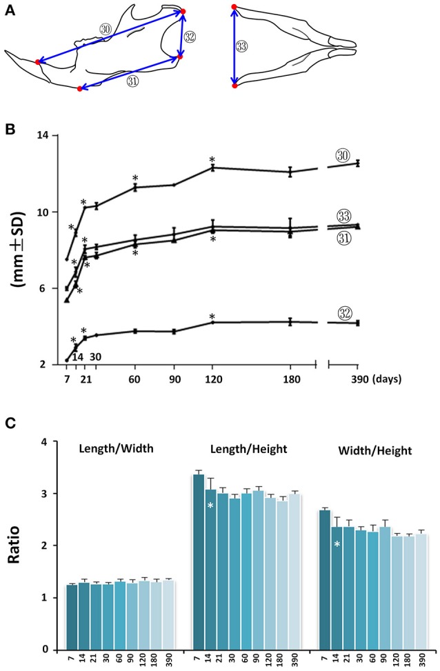 Figure 6