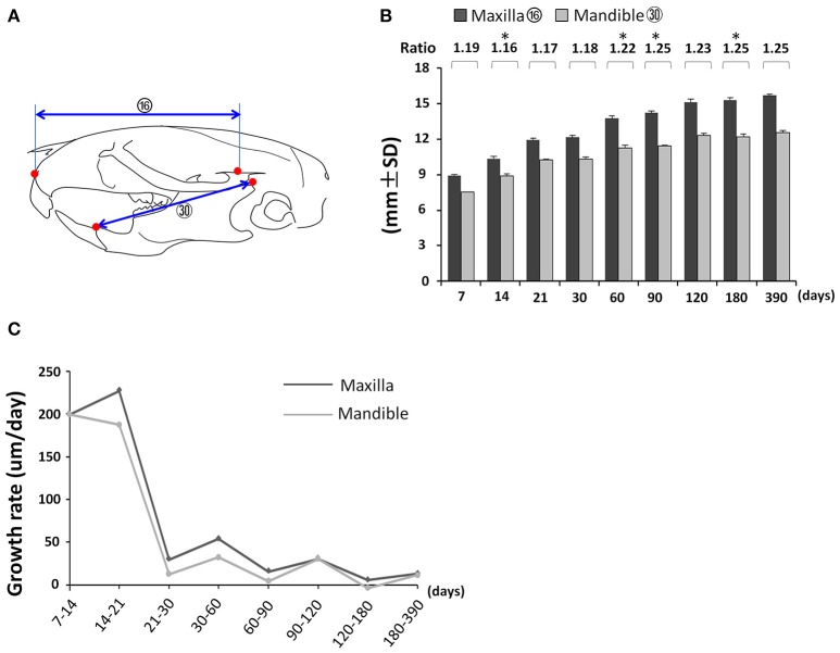 Figure 7