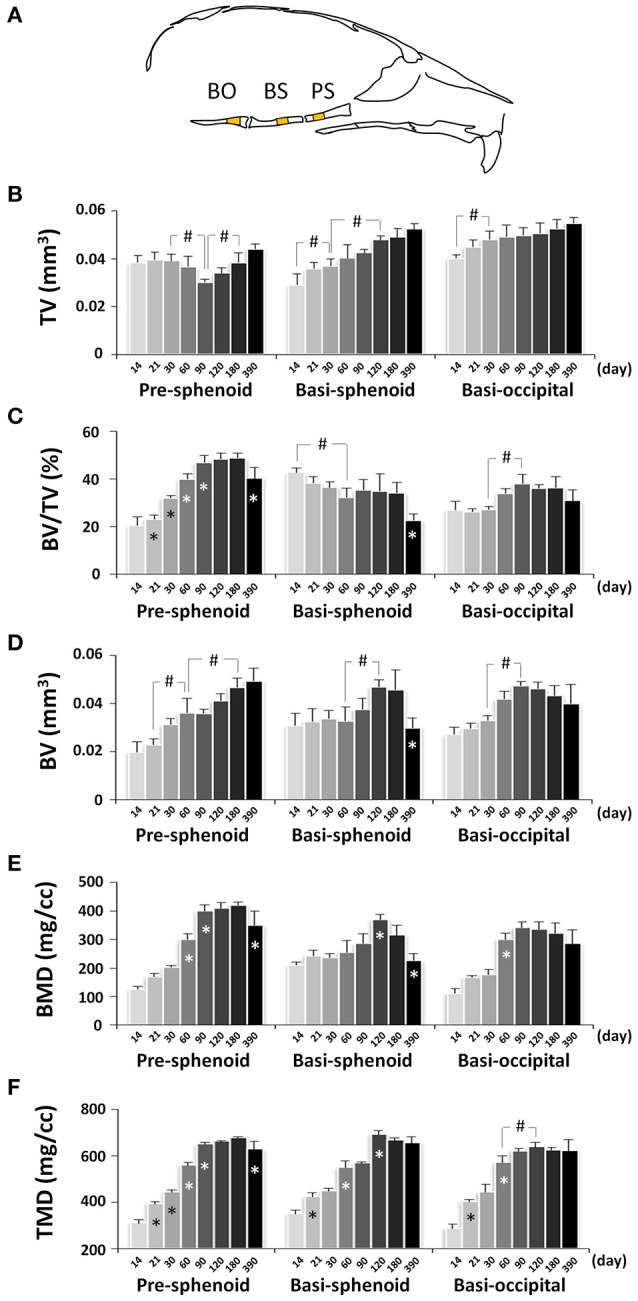 Figure 13