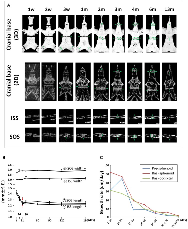 Figure 12