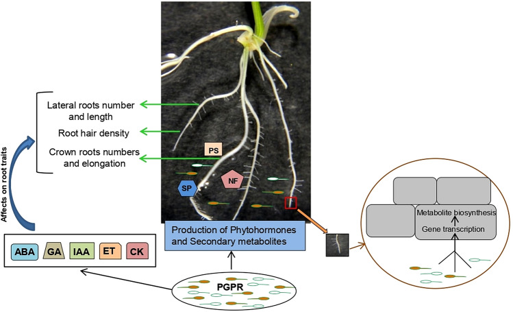 Fig. 2