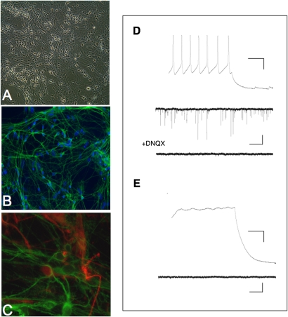 Fig. 3.