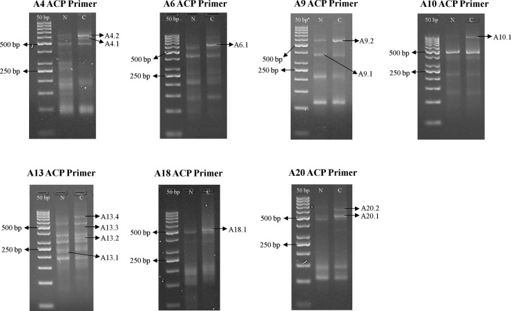 Figure 1