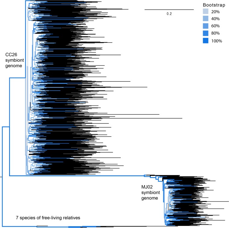 FIG 4 