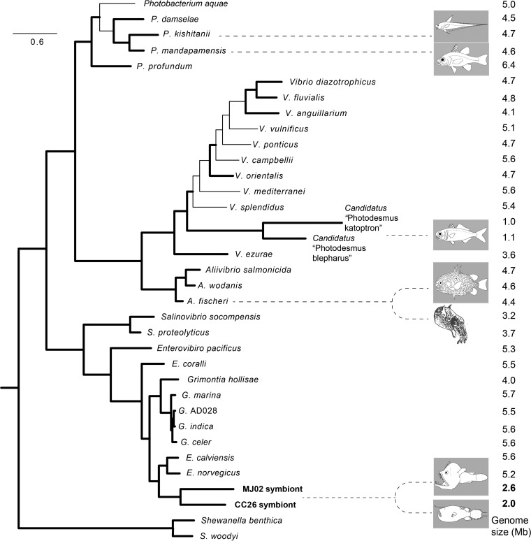 FIG 2 