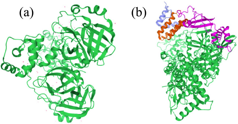 FIGURE 11.