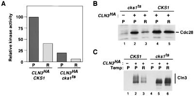 FIG. 6