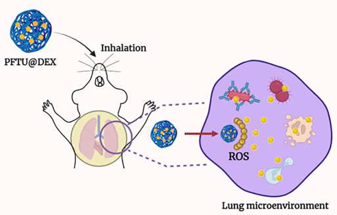 Image, graphical abstract