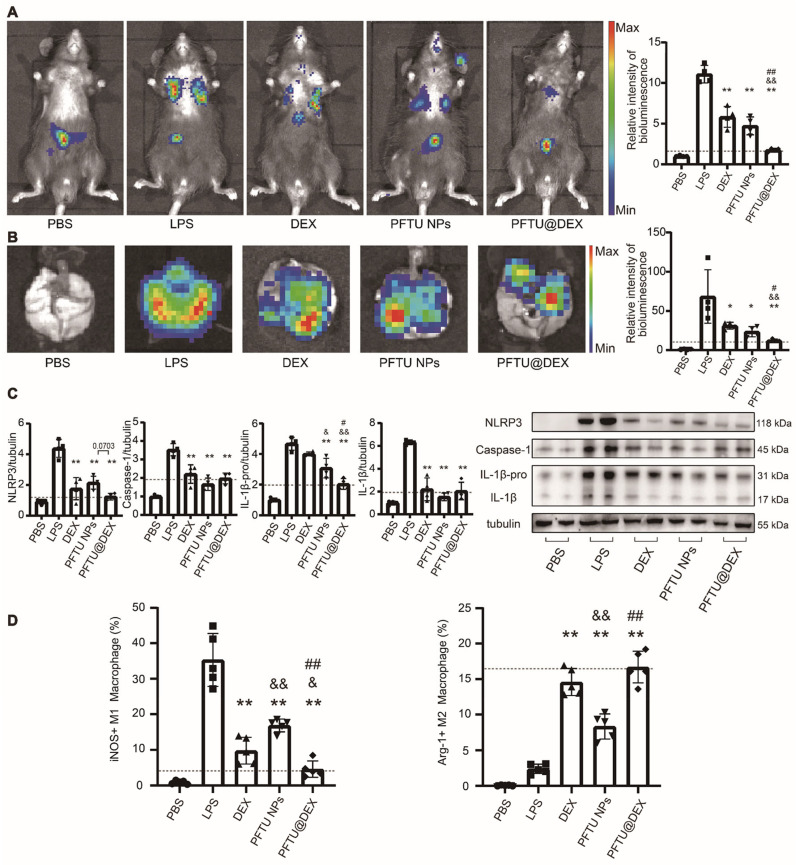 Fig 6