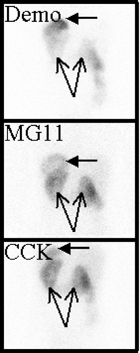 Fig. 5