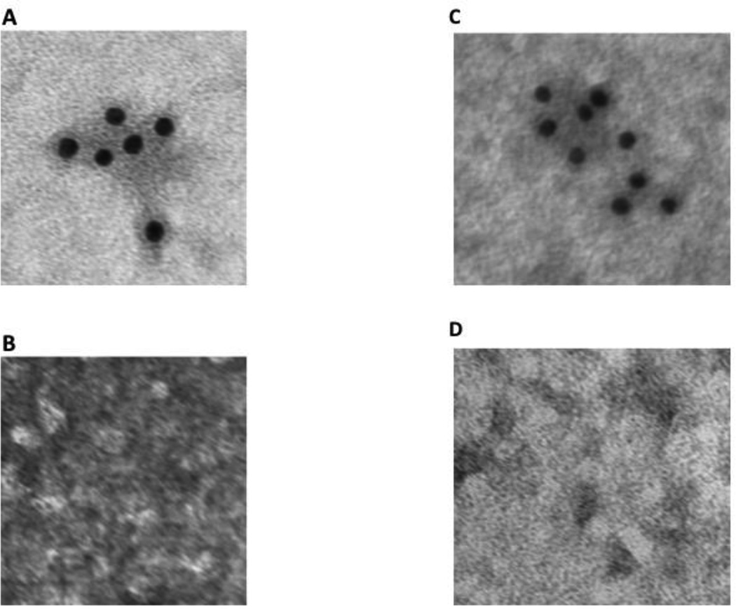 Fig. 10