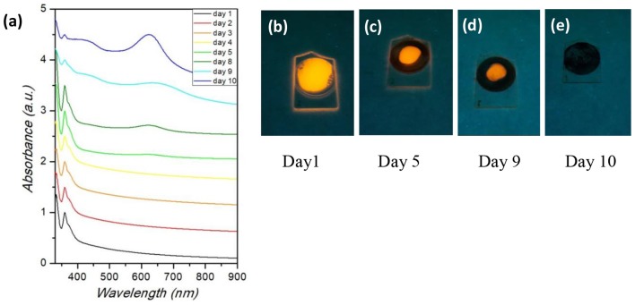 Figure 5