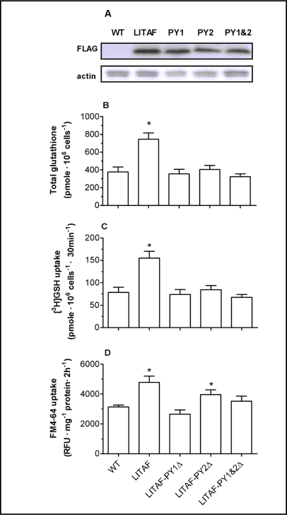 Fig. 9