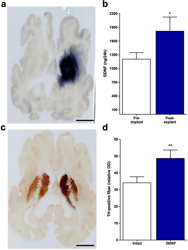 Fig. 8