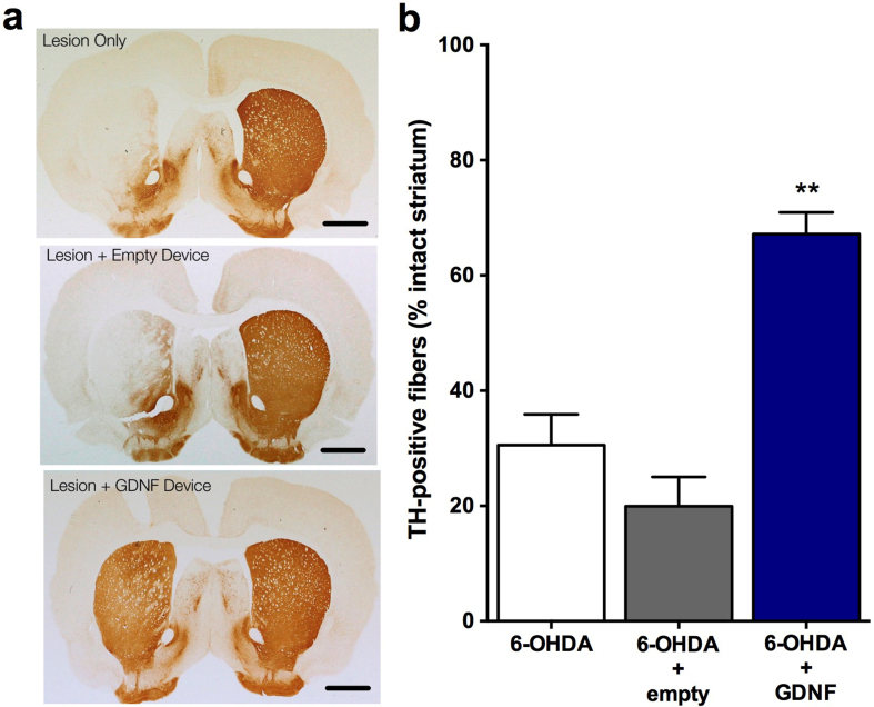 Fig. 4