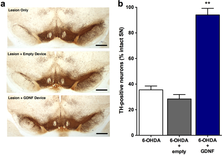 Fig. 3