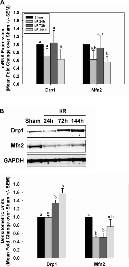 Fig. 11.