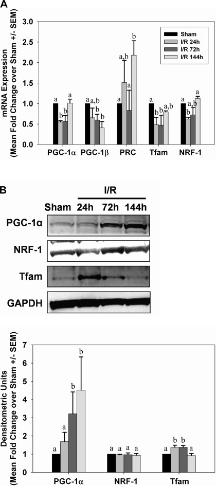 Fig. 12.