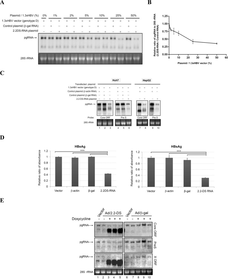 FIG 2