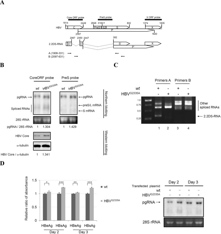 FIG 1