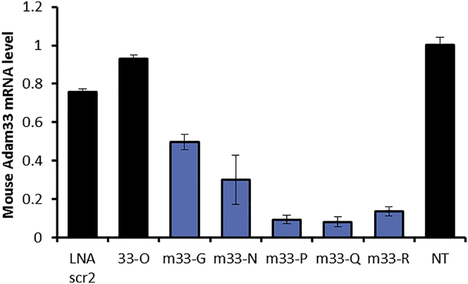 Figure 6