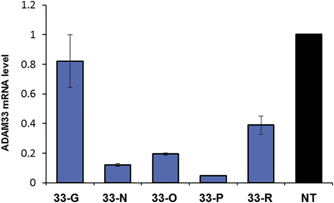 Figure 4