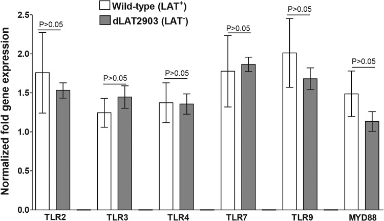 FIG 4