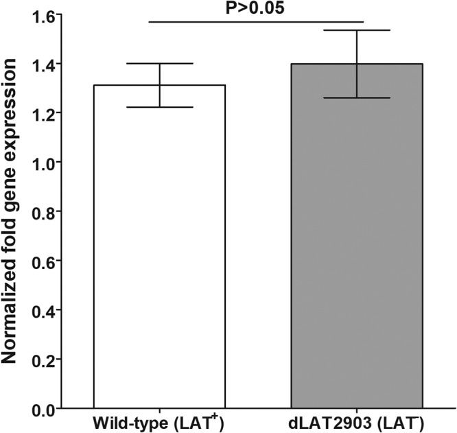 FIG 3