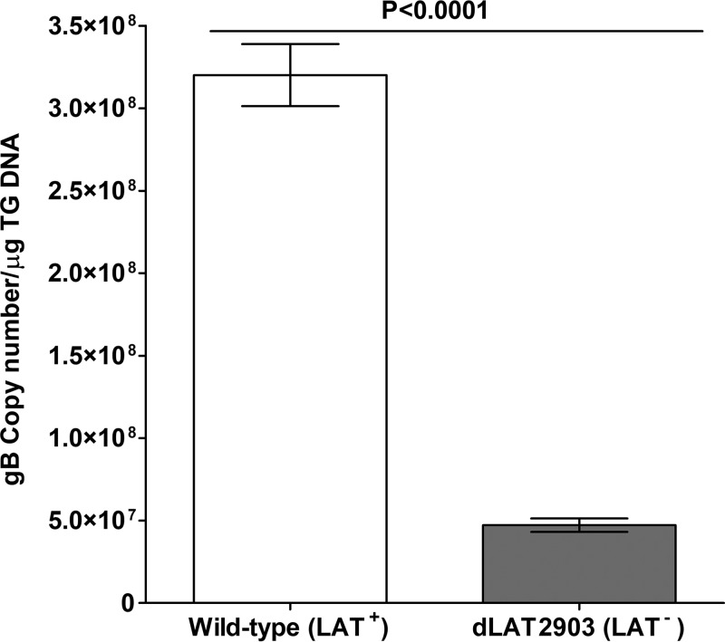 FIG 1