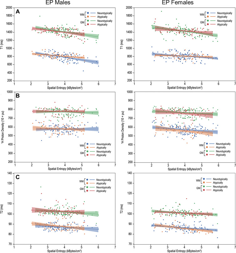 Multiparametric quantitative MRI parameters versus spatial entropy density (SEd). Scatterplots and linear fitting of the mean (A) T1, (B) normalized proton density, and (C) T2 values versus SEd of the white matter (WM) and gray matter (GM) for neurotypically and atypically developing extremely preterm (EP)–born adolescents. Differences in the associations of T1 and SEd were observed in the WM between atypically and neurotypically developing boys. pu = percent unit.