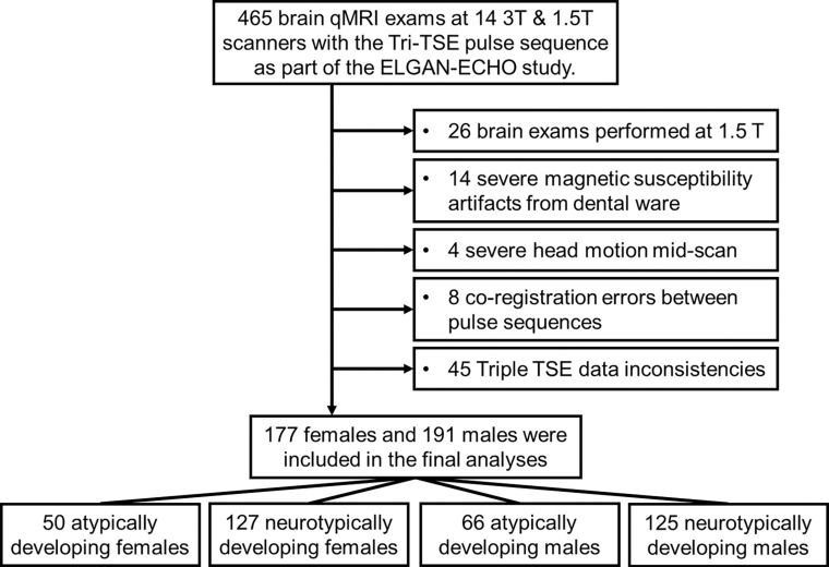 Flowchart of participant selection from each of the 12 participating institutions. ELGAN-ECHO = Extremely Low Gestational Age Newborns–Environmental Influences on Child Health Outcomes, qMRI = quantitative MRI, TSE = turbo spin echo.