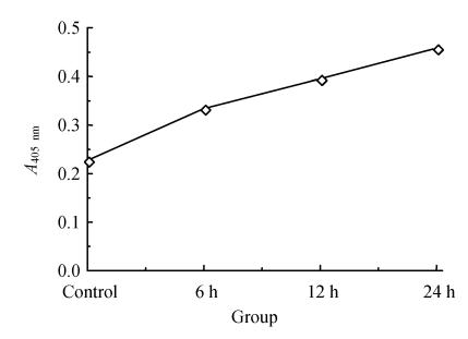 Fig. 5