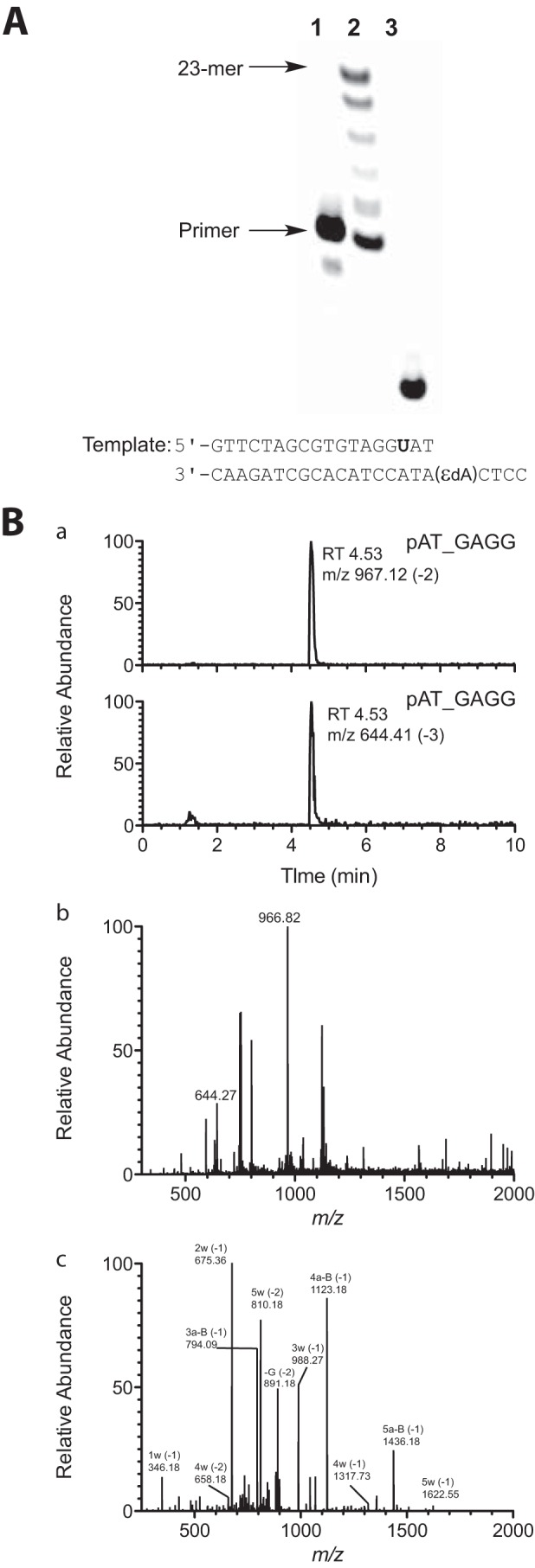 FIGURE 1.