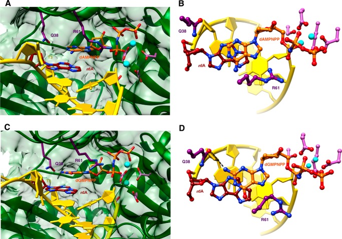 FIGURE 3.